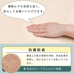 防音 カーペット 江戸間 6畳 サイズ 抗菌防...の詳細画像4