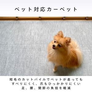 カーペット 江戸間 6畳 犬 猫 ペット対応 ...の詳細画像1
