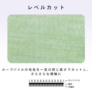 カーペット 江戸間 6畳 犬 猫 ペット対応 ...の詳細画像2