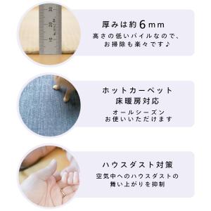 カーペット 江戸間 6畳 犬 猫 ペット対応 ...の詳細画像3