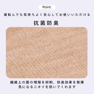 カーペット 江戸間 6畳 犬 猫 ペット対応 ...の詳細画像4