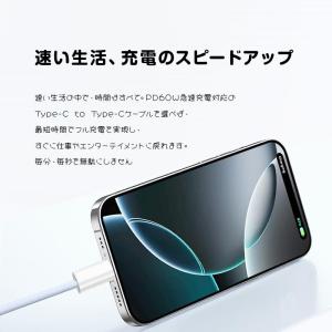 【2026最新】Type-C to Type-...の詳細画像2