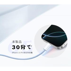 【2026最新】Type-C to Type-...の詳細画像3