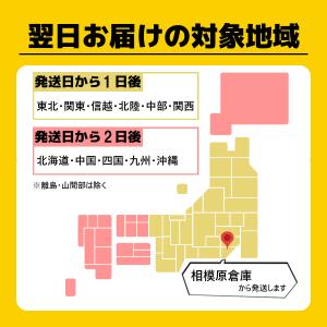 マグネット式ドアストッパー フラット戸当り D...の詳細画像4
