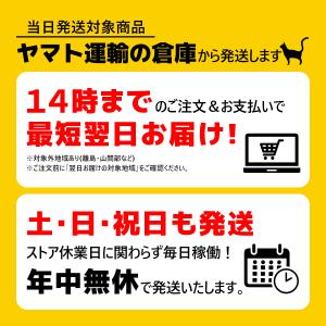 マグネット式ドアストッパー フラット戸当り D...の詳細画像5