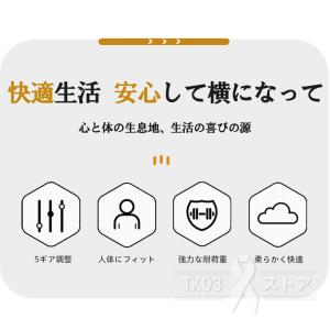 座椅子 おしゃれ 腰痛 肘掛付き コンパクト ...の詳細画像2