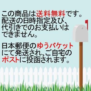 ステッカー ドライブレコーダー 録画中 ステッ...の詳細画像1