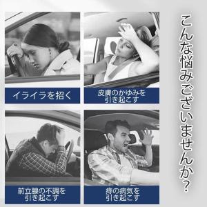 シートクーラー クールシート 車 シートカバー...の詳細画像1