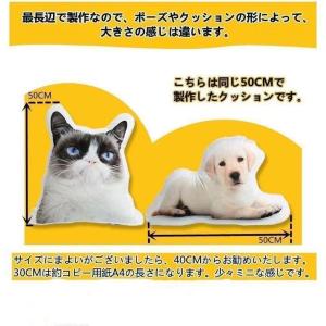 写真入れ オーダーメイドペット写真クッション ...の詳細画像3