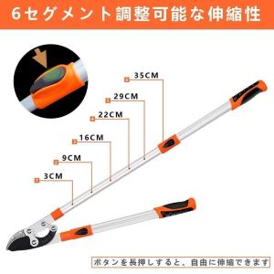園芸用ばさみ 太枝切鋏 切断径55mm 強力型...の詳細画像3