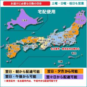 透明ビニールバッグ (OPPバッグ) プレゼン...の詳細画像4