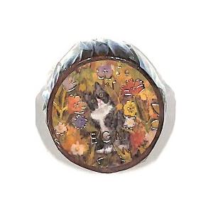 花と猫 ハチワレ猫さん