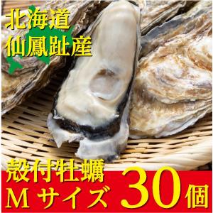 北海道仙鳳趾（せんぽうし）殻付牡蠣　Mサイズ（150g〜199g）　30個入り