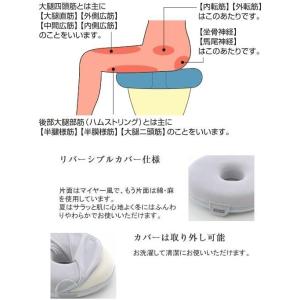 クッション お医者さんの 円座クッションの詳細画像3
