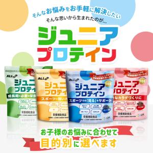 ジュニア プロテイン 140g 600g 人工...の詳細画像4
