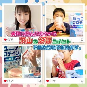 ジュニア プロテイン 140g 600g 人工...の詳細画像3