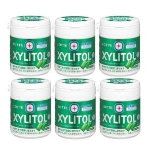 ロッテ キシリトールガム ライムミント ファミリーボトル 133g 6個セット ボトルガム　新品