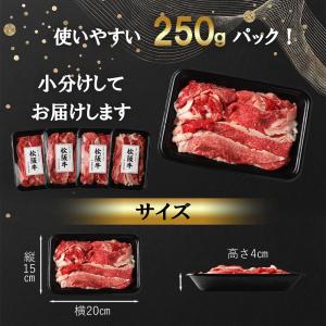 松阪牛 切り落とし プレミアム 1000g 爆買の詳細画像4