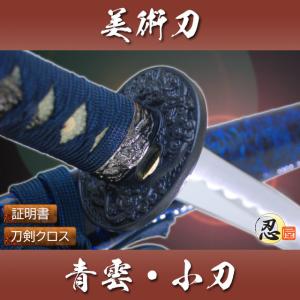 模造刀 西洋刀剣 大日本帝国海軍短剣 コスプレ : TL-STARしのびや