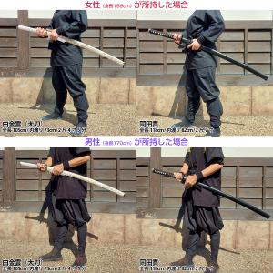 居合刀 標準シリーズ 肥後拵 2尺4寸5分 刀...の詳細画像4