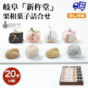 岐阜 新杵堂 栗和菓子詰合せ 20個 栗きんとん マロン お取り寄せ お土産 ギフト プレゼント 特産品 お供え 内祝い お返し 入学 結婚 出産 お歳暮