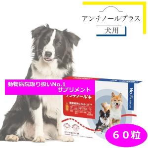 アンチノール プラス 犬 犬用 90粒 90 犬用サプリメント 送料無料 CCC