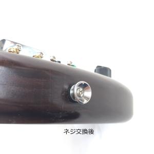 ストラップピン 補強 2本セット アンカーボル...の詳細画像5