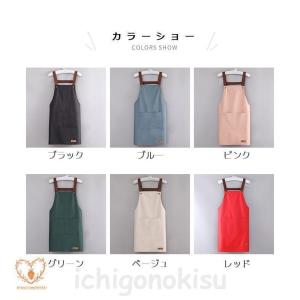エプロン 家庭用 キッチン 防水 防油 ガーデ...の詳細画像1