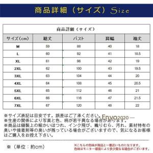 tシャツ メンズ 半袖 接触冷感 涼しい Tシ...の詳細画像5