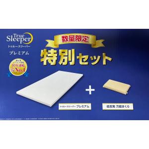 【未使用品】トゥルースリーパープレミアケア　セミダブル トゥルースリーパー プレミアケア セミダブル True Sleeper