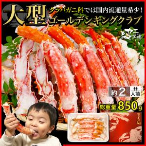 かに カニ 蟹 ハーフポーション 約二人前 ゴールデンキングクラブ