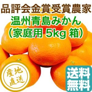 みかん フルーツ Fruits 温州みかん 青島みかん 家庭用5kg箱　静岡県産 産地直送 送料無料｜tms4