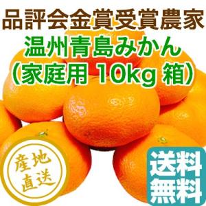 みかん フルーツ Fruits 温州みかん 青島みかん 家庭用10kg箱　静岡県産 産地直送 送料無料｜tms4