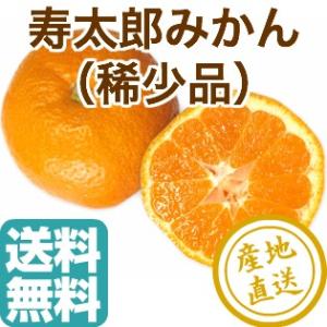 みかん 寿太郎 家庭用3kg箱 静岡県産 産地直送 送料無料｜tms4