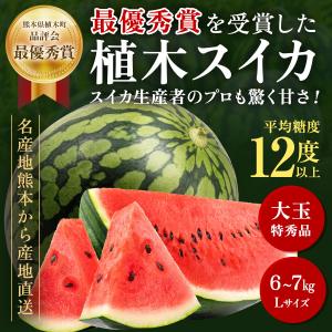 最優秀賞受賞 植木スイカ Lサイズ 6〜7kg 1玉 熊本県植木産 特秀 大玉  送料無料 フルーツ 父の日 ギフト