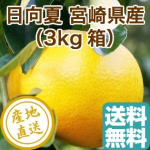 日向夏 フルーツ Fruits みかん 柑橘 3kg箱 宮崎県産 産地直送 送料無料｜tms4