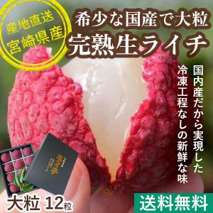 お中元 2023 ギフト ライチ トロピカルフルーツ 国産高級完熟 ライチ 厳選大粒12個入化粧箱 宮崎県産 産地直送 送料無料 御中元 果物｜tms4