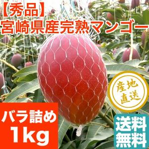 マンゴー フルーツ Fruits 完熟 宮崎マンゴー 1kg箱 Mサイズ バラ詰め 産地直送 送料無料