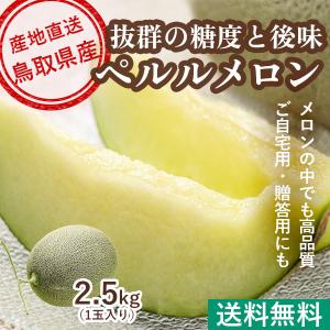 メロン 高級メロン ペルルメロン 1玉 2.5kg 化粧箱入り 鳥取県産 送料無料 贈答用 果物 父の日 御中元ギフト｜tms4