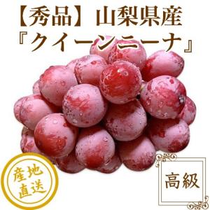 ぶどう フルーツ クイーンニーナ 秀品 4kg箱5〜8房入り 山梨県産 産地直送 送料無料 敬老の日 残暑御見舞 ギフト 果物｜tms4