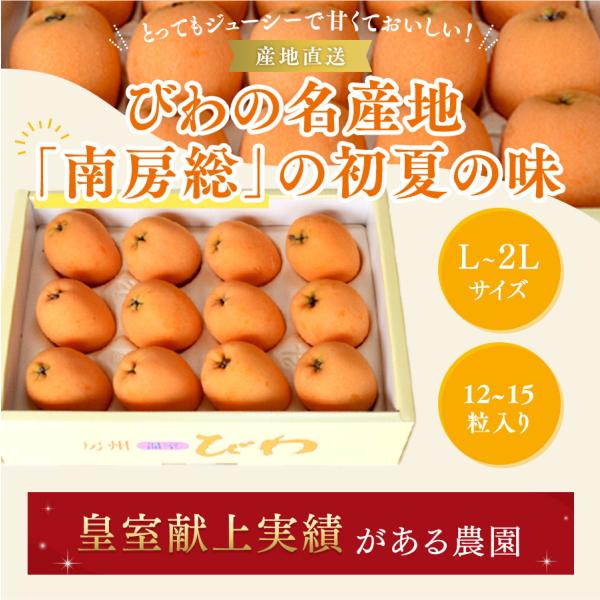 びわ 房州びわ L~2Lサイズ 12〜15粒 化粧箱入り 皇室献上の実績 千葉県南房総産 父の日 ギ...