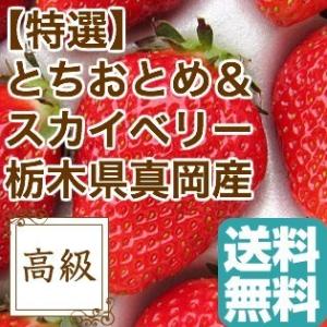 いちご 詰め合わせ フルーツ Fruits 完熟 とちおとめ と スカイベリー の特選大粒いちご 栃木県真岡産 ギフト 贈答用2パック入り 送料無料｜tms4