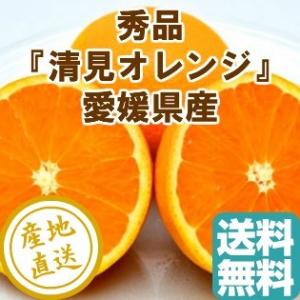 清見 オレンジ みかん 柑橘類 フルーツ fruits 贈答用10kg箱 愛媛県産 産地直送 送料無料｜tms4