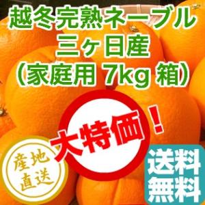 越冬完熟 ネーブル オレンジ みかん 柑橘類 フルーツ fruits 家庭用7kg箱 静岡県三ヶ日産 産地直送 送料無料｜tms4