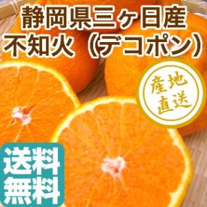 不知火 デコポン みかん 柑橘類 フルーツ fruits 3kg 静岡県 三ヶ日産 産地直送 送料無料｜tms4