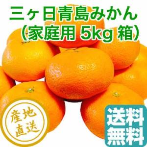 三ヶ日 青島 みかん 家庭用5kg箱 静岡県三ヶ日 産地直送 送料無料