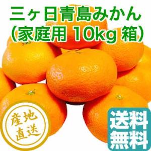 三ヶ日 青島 みかん 家庭用10kg箱 静岡県三ヶ日 産地直送 送料無料