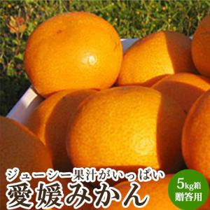 愛媛 みかん お歳暮 ギフト 贈答用5kg箱 愛媛県 産地直送 送料無料｜tms4