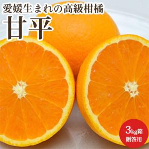 甘平 高級 みかん 柑橘類 フルーツ 特選 3kg箱 贈答用 愛媛県産 産地直送 送料無料｜tms4