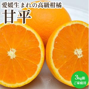 甘平 高級 みかん 柑橘類 フルーツ 3kg箱 家庭用 愛媛県産 産地直送 送料無料｜tms4